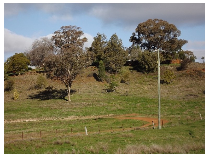 Warrumbrae Newell Highway, Coonabarabran NSW 2357