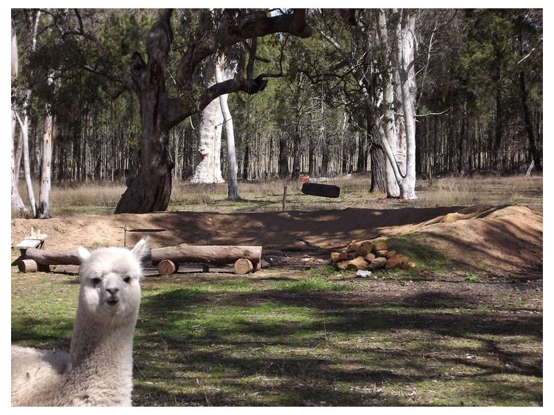 Rosehill Newell Highway, Coonabarabran NSW 2357