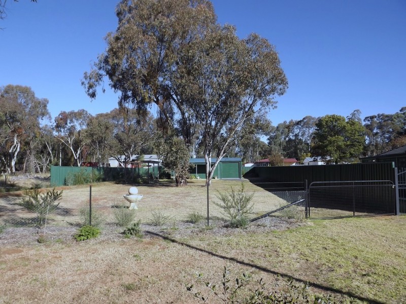 16 Kirban St, Coonabarabran NSW 2357