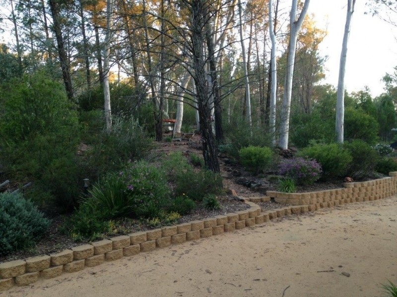 58 Koala Crescent, Coonabarabran NSW 2357