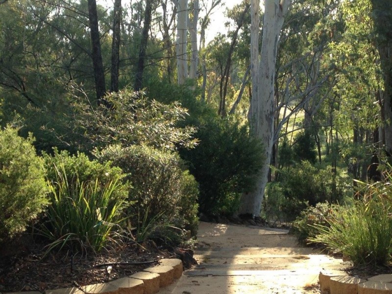 58 Koala Crescent, Coonabarabran NSW 2357