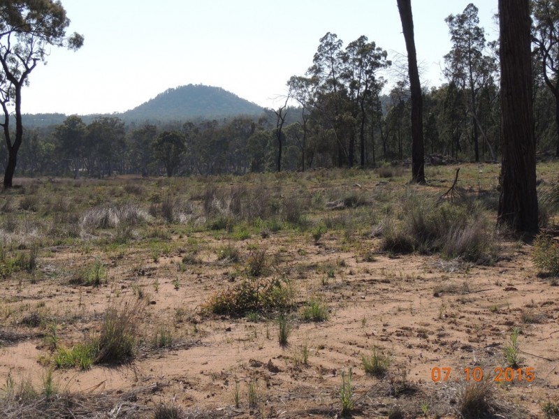 52 Honey Pot Lane, Coonabarabran NSW 2357