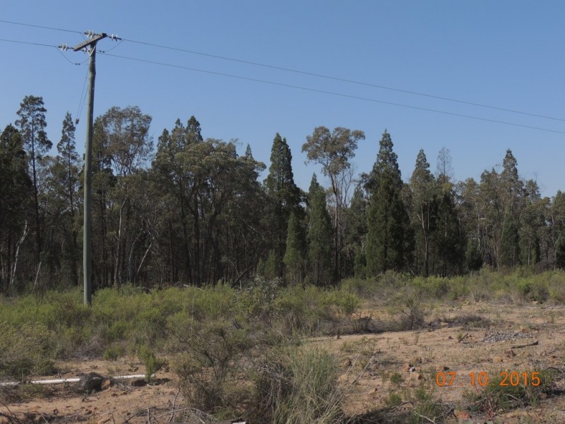 52 Honey Pot Lane, Coonabarabran NSW 2357