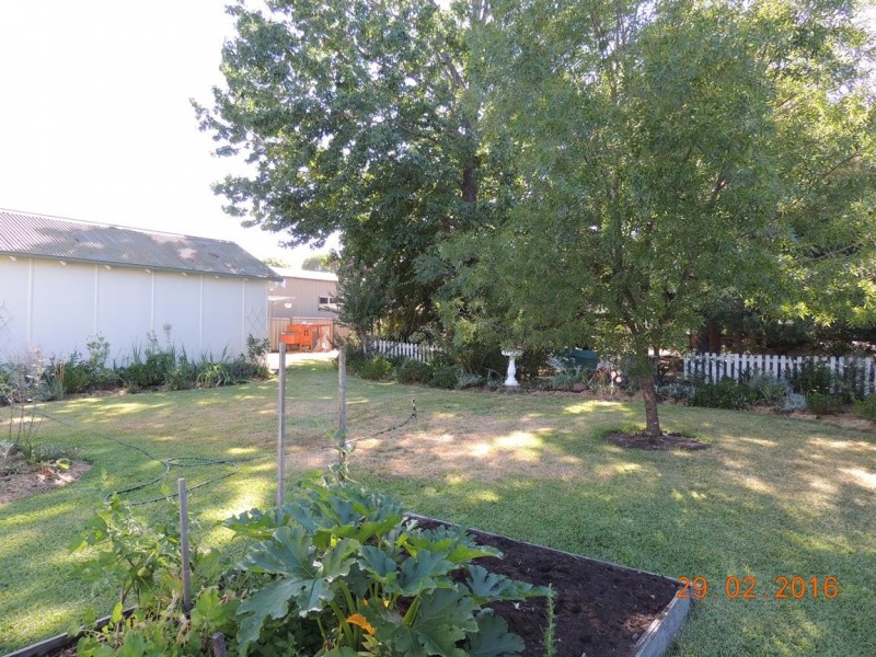 37 Knight St, Coonabarabran NSW 2357