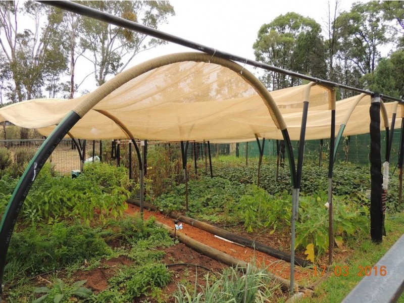 69 Hawkins Road, Coonabarabran NSW 2357