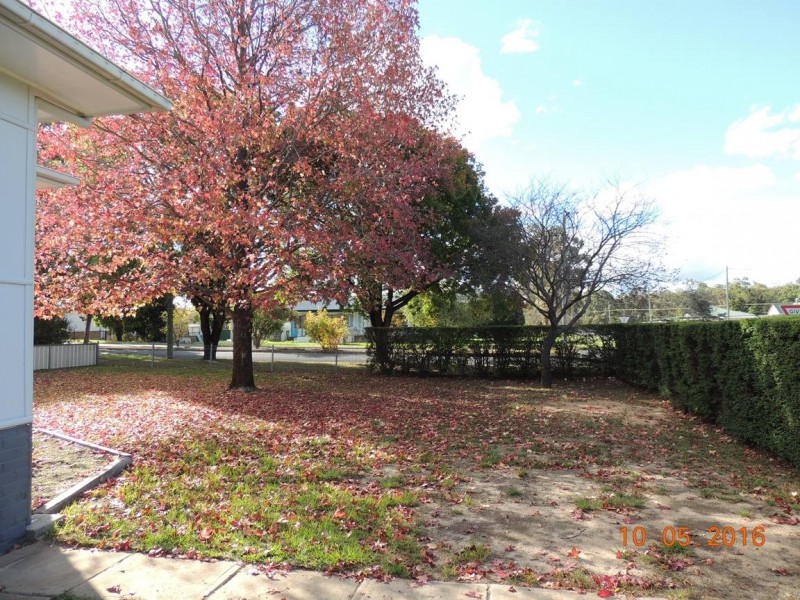 16 Ann St, Coonabarabran NSW 2357