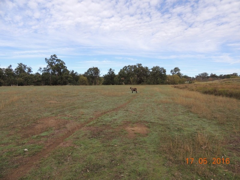 “Buck Downs’ Dows Lane, Coonabarabran NSW 2357