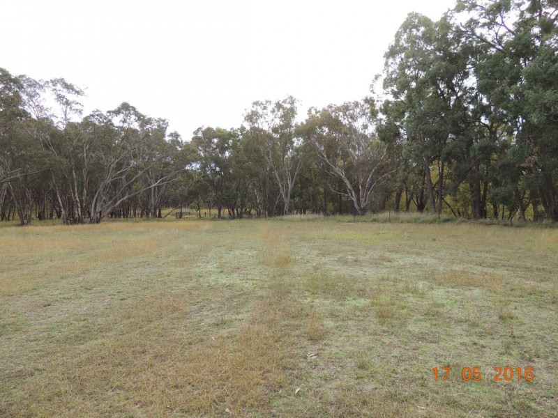 “Buck Downs’ Dows Lane, Coonabarabran NSW 2357