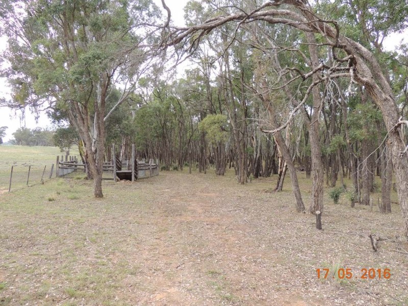 “Buck Downs’ Dows Lane, Coonabarabran NSW 2357