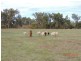 “Buck Downs’ Dows Lane, Coonabarabran NSW 2357