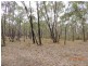 “Buck Downs’ Dows Lane, Coonabarabran NSW 2357