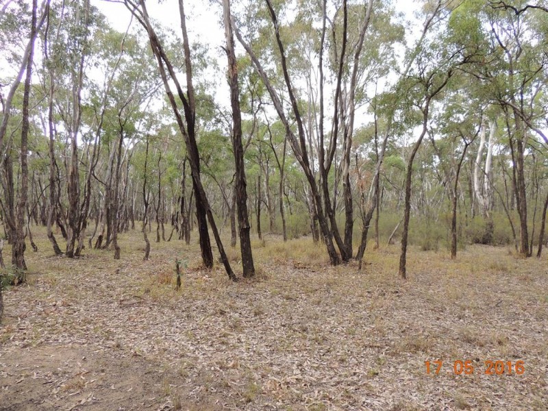 “Buck Downs’ Dows Lane, Coonabarabran NSW 2357