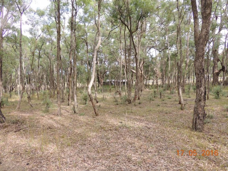 “Buck Downs’ Dows Lane, Coonabarabran NSW 2357