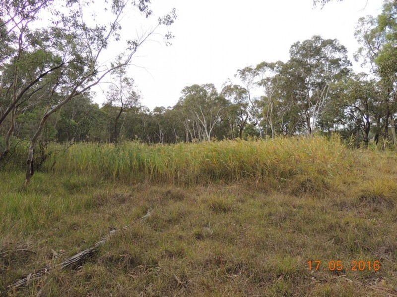 “Buck Downs’ Dows Lane, Coonabarabran NSW 2357