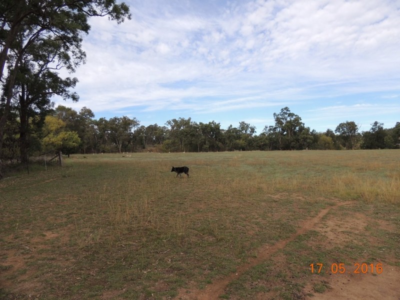 “Buck Downs’ Dows Lane, Coonabarabran NSW 2357