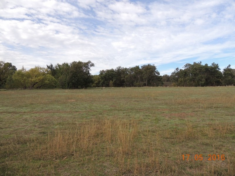 “Buck Downs’ Dows Lane, Coonabarabran NSW 2357