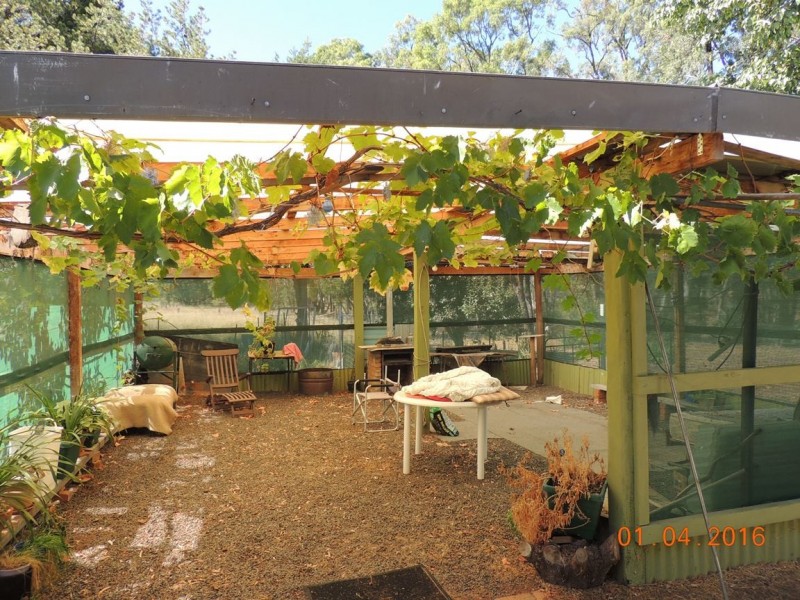 14867 Oxley Highway, Rocky Glen NSW 2357