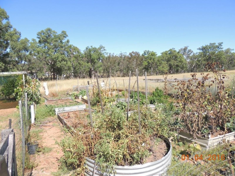 14867 Oxley Highway, Rocky Glen NSW 2357