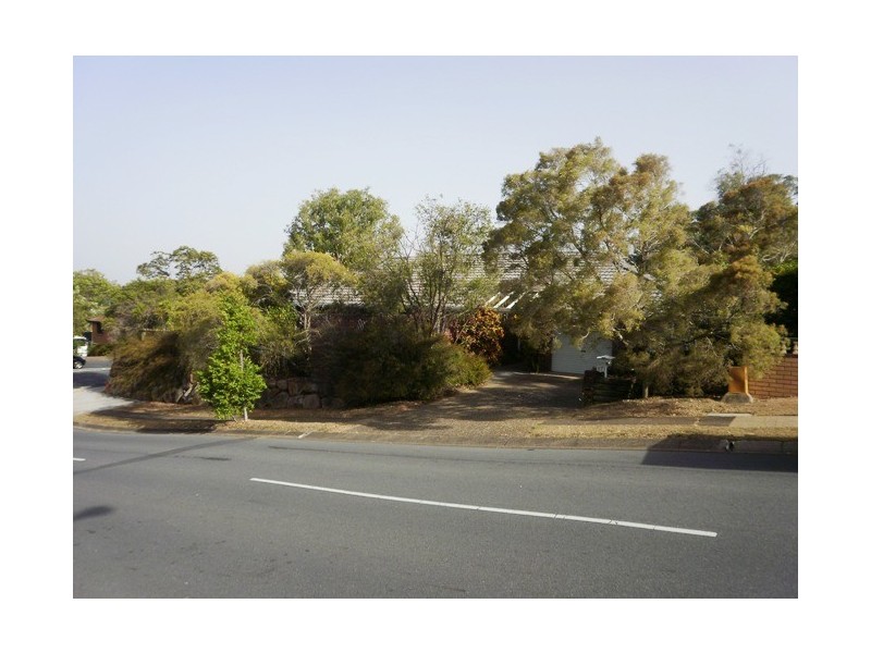 Carina Heights QLD 4152