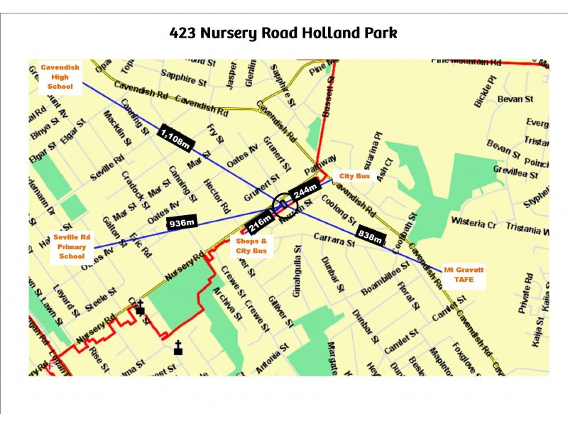 Holland Park QLD 4121