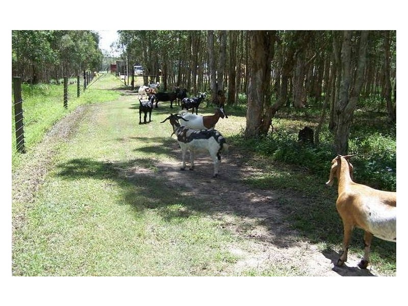 52 Heinemann Road, Redland Bay QLD 4165