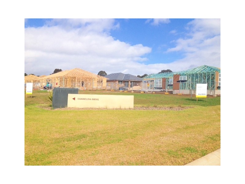 41 Swansona Avenue, Mount Annan NSW 2567