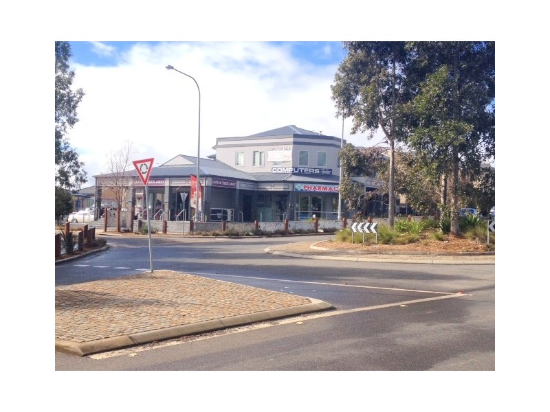 41 Swansona Avenue, Mount Annan NSW 2567