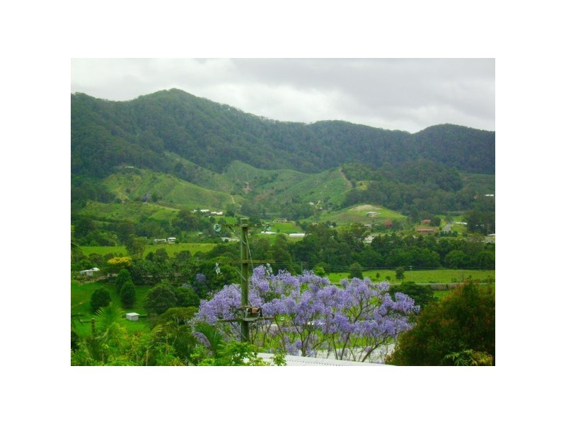 55 Bennetts Road, Coffs Harbour NSW 2450