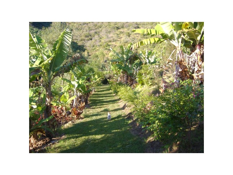 55 Bennetts Road, Coffs Harbour NSW 2450