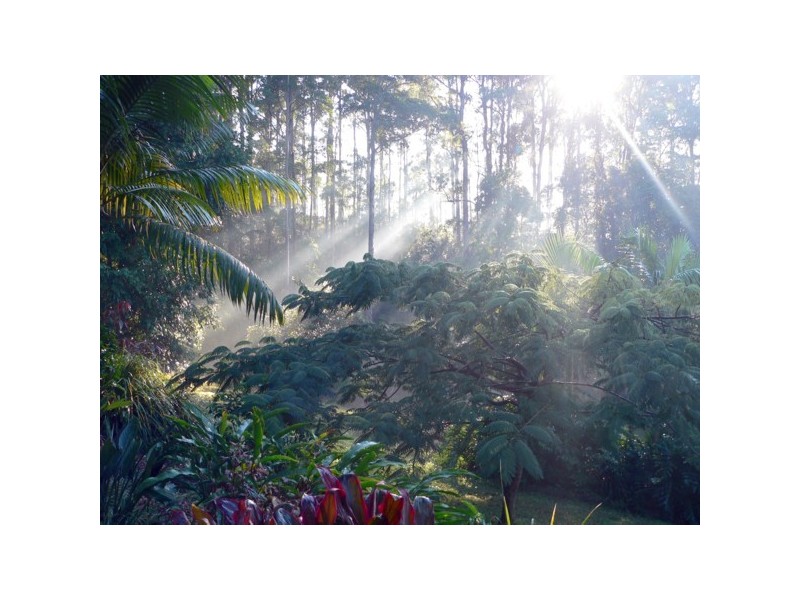 51 Gentle Annie Forest Road, Woolgoolga NSW 2456