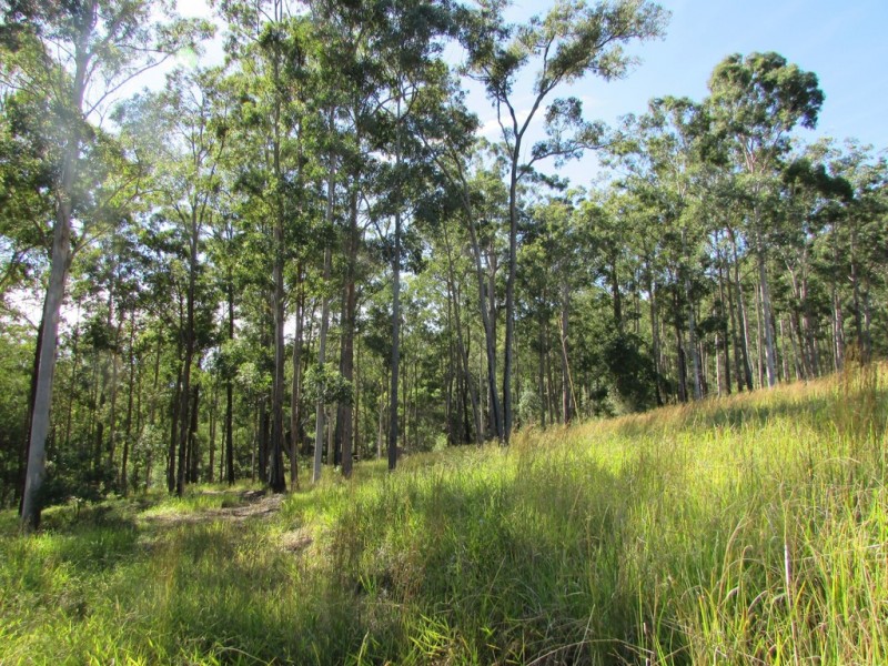 27 (Lot 4) Nottingham Drive, Glenreagh NSW 2450