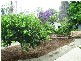 106 Bailey Avenue, Coffs Harbour NSW 2450