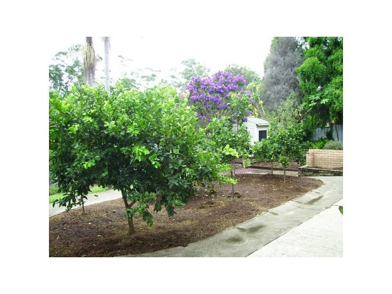 106 Bailey Avenue, Coffs Harbour NSW 2450