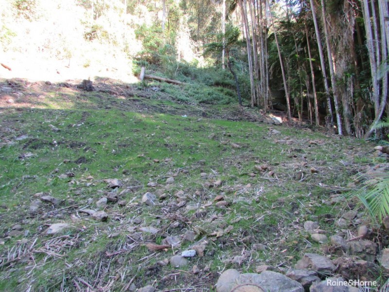 90 Cedarvale Road, Boambee NSW 2450