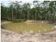 163 Parker Road, Wells Crossing NSW 2460