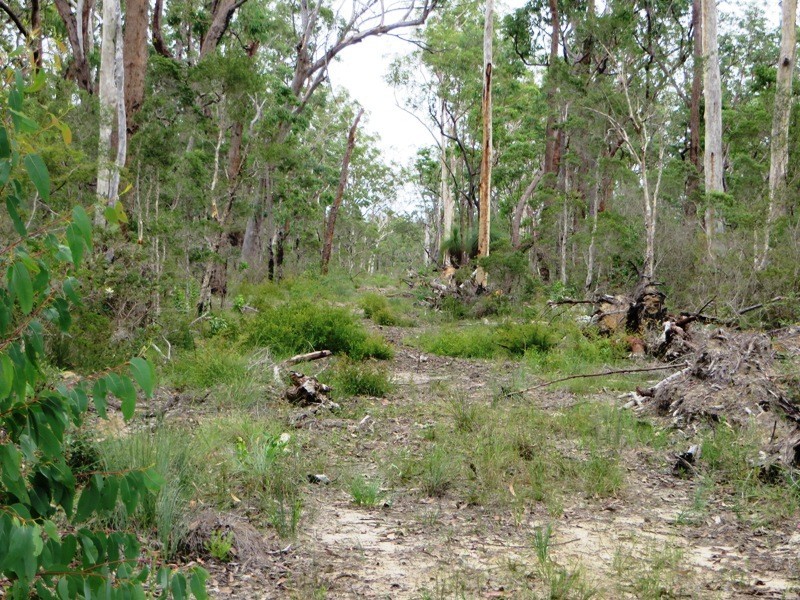 163 Parker Road, Wells Crossing NSW 2460