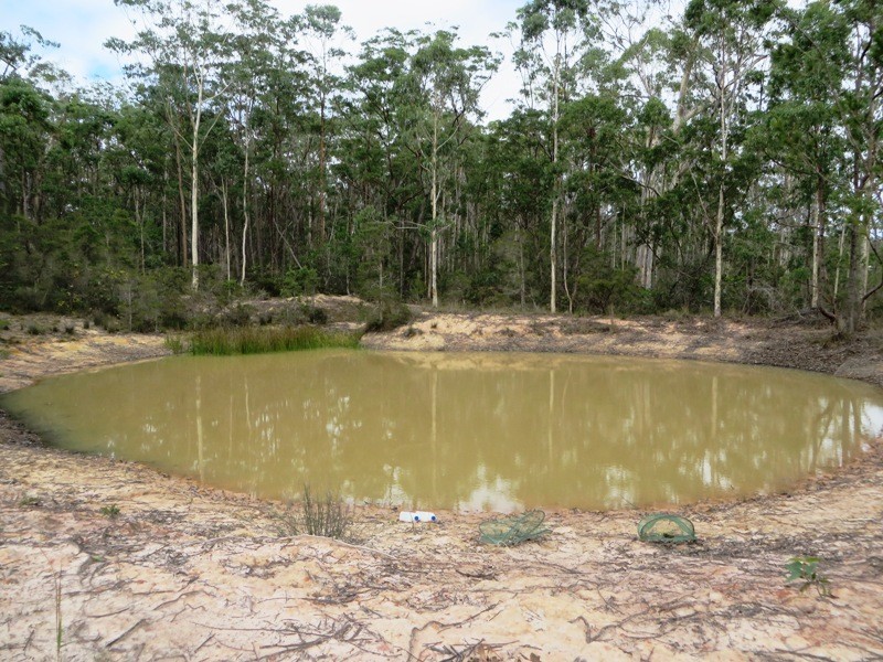163 Parker Road, Wells Crossing NSW 2460