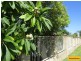 92 Taloumbi Road, Coffs Harbour NSW 2450