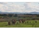 591 Ellesmere North Road, Alice Creek QLD 4610
