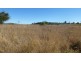 591 Ellesmere North Road, Alice Creek QLD 4610