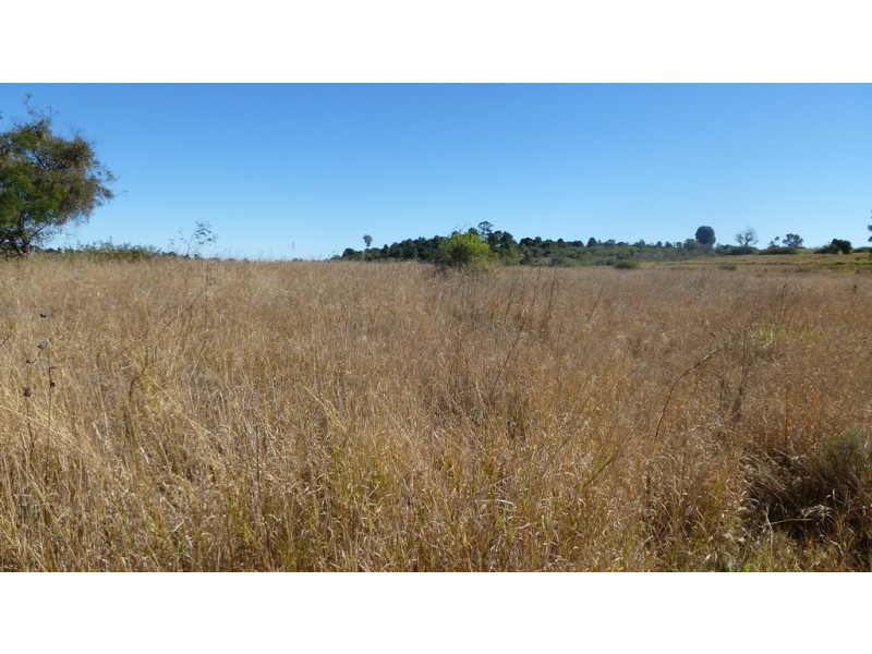 591 Ellesmere North Road, Alice Creek QLD 4610