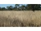 591 Ellesmere North Road, Alice Creek QLD 4610