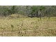 591 Ellesmere North Road, Alice Creek QLD 4610