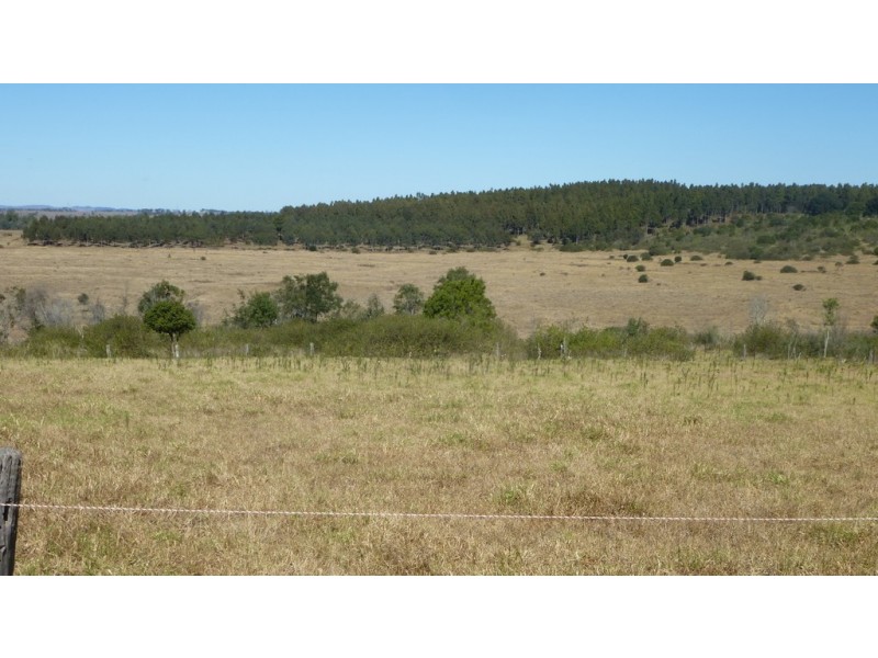 591 Ellesmere North Road, Alice Creek QLD 4610