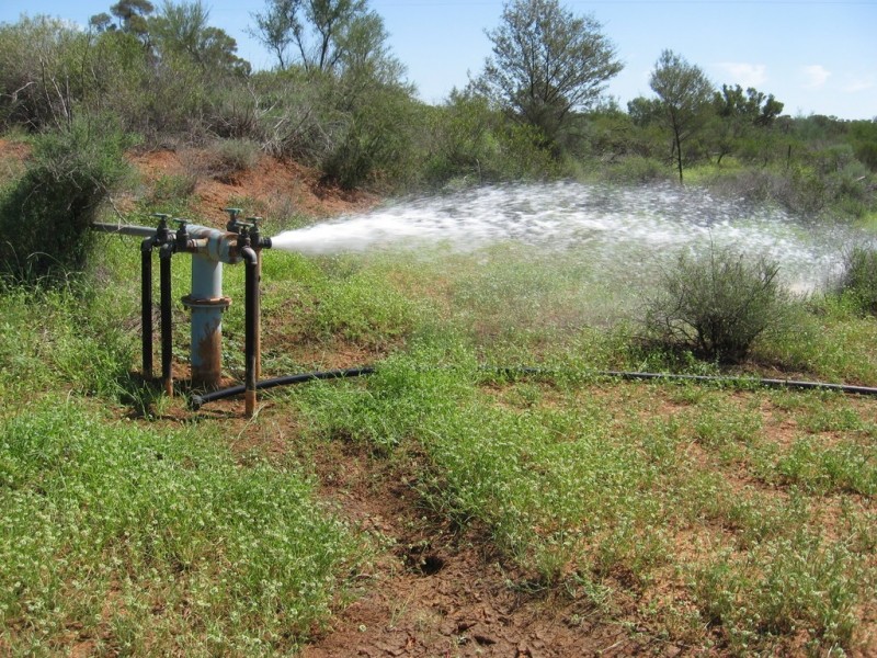 ” Cudgee “, Quilpie QLD 4480