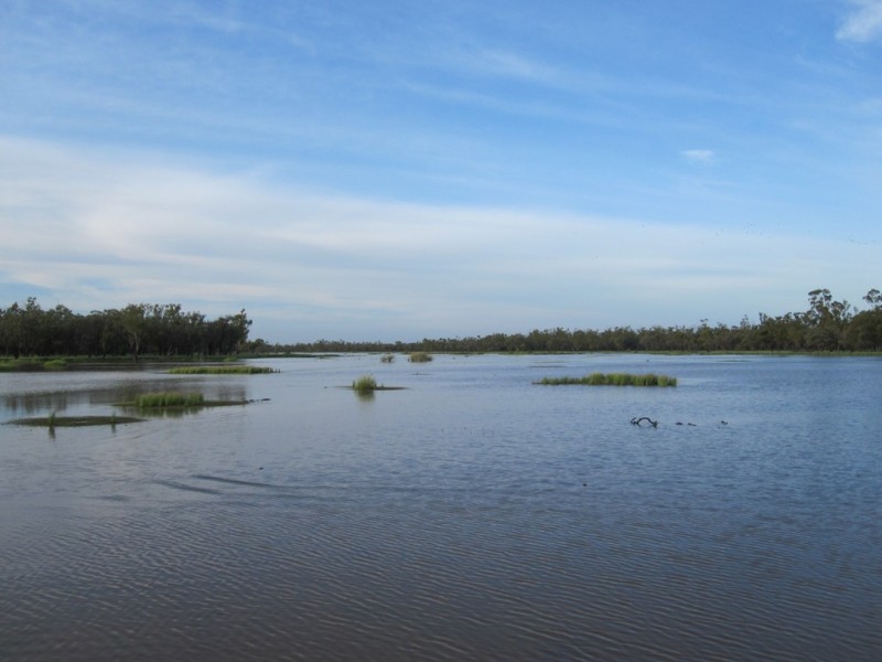 ” Cudgee “, Quilpie QLD 4480