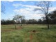 ” Cudgee “, Quilpie QLD 4480
