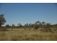 ” Cudgee “, Quilpie QLD 4480