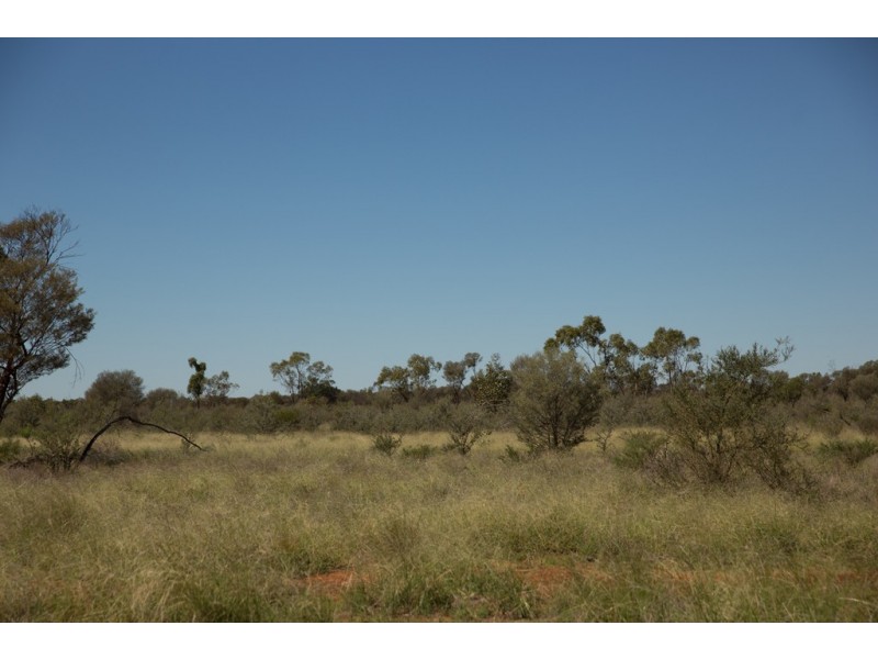 ” Cudgee “, Quilpie QLD 4480