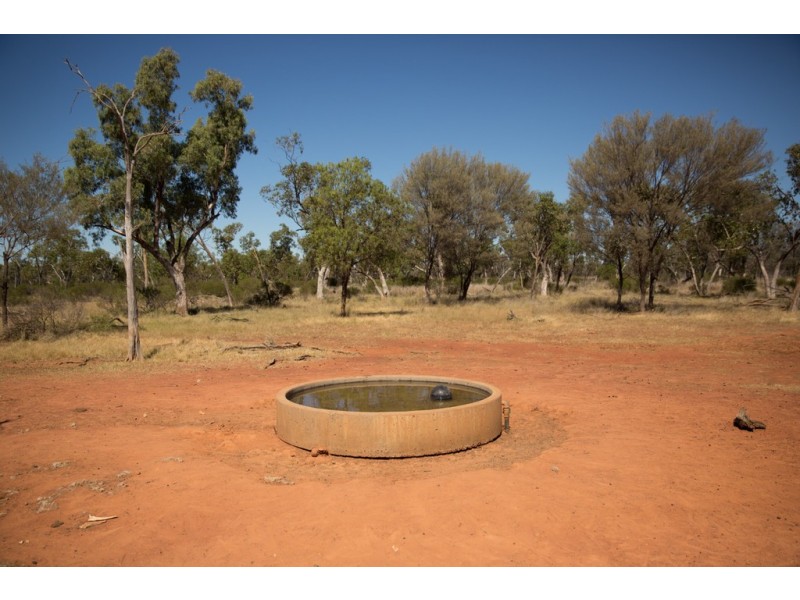 ” Cudgee “, Quilpie QLD 4480